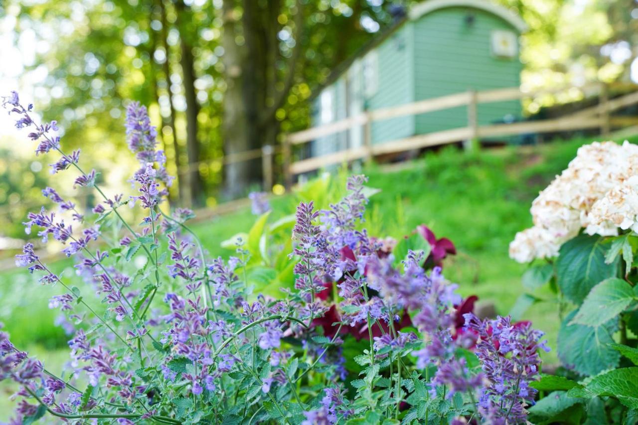 Lavender Retreat With Private Hot Tub Upper Hulme Exterior foto